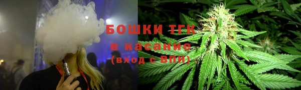 шишки Волоколамск