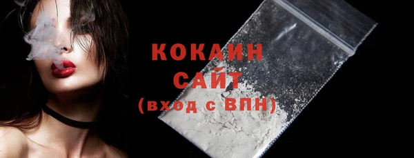 шишки Волоколамск