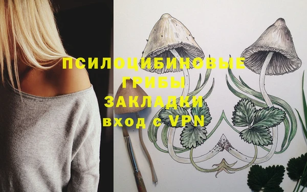 шишки Волоколамск