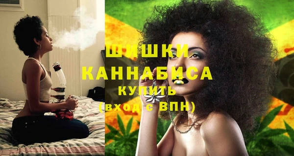 шишки Волоколамск