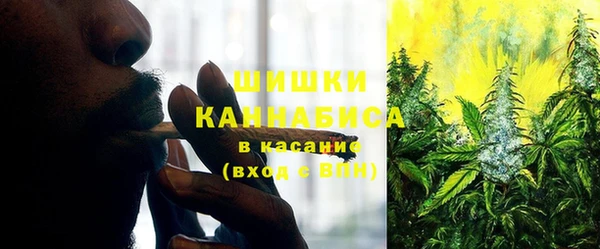 шишки Волоколамск